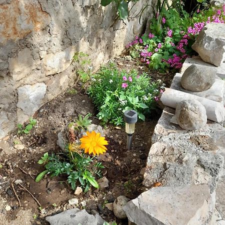 Apartmani Sanja 希贝尼克 客房 照片
